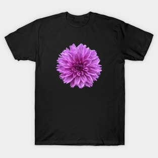 Pretty purple Dahlia Botanical Bee Flower Annual T-Shirt